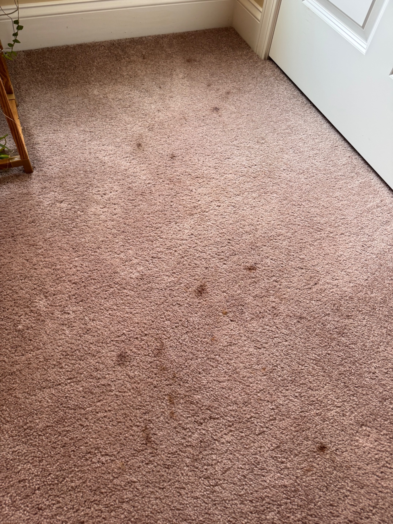 Before cleaning